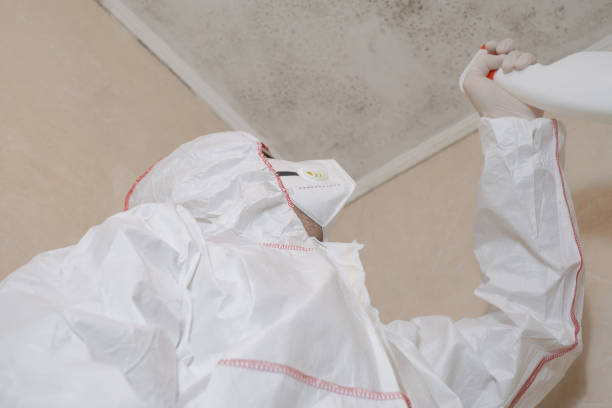 Best Emergency Mold Remediation in Cherryville, NC